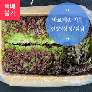 꽃상추 - 1kg(반박스), 2kg(한박스)