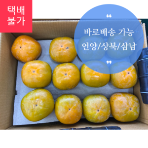 진영 단감 - 1 상자
