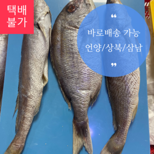 제수용 생선세트(돔, 민어조기) - 3마리